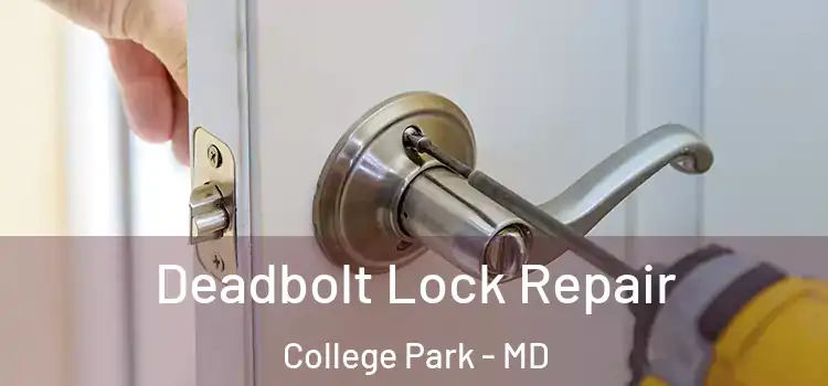  Deadbolt Lock Repair College Park - MD