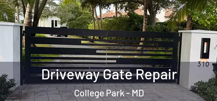  Driveway Gate Repair College Park - MD