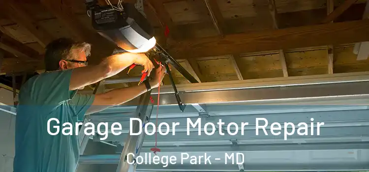  Garage Door Motor Repair College Park - MD