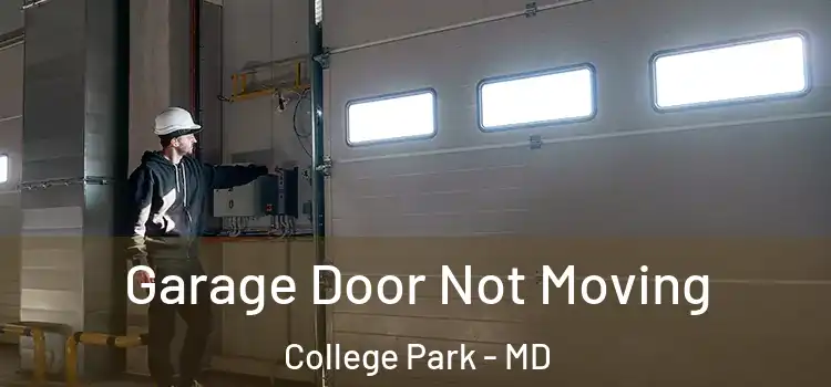  Garage Door Not Moving College Park - MD