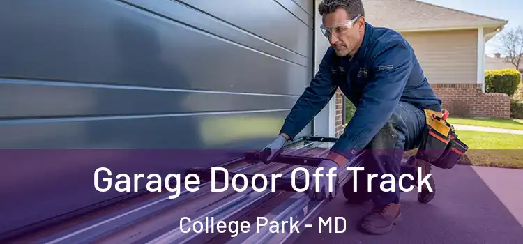  Garage Door Off Track College Park - MD