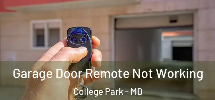  Garage Door Remote Not Working College Park - MD