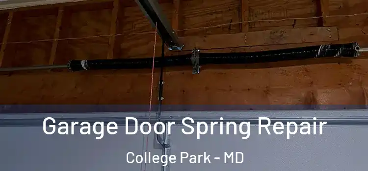 Garage Door Spring Repair College Park - MD