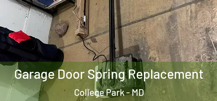  Garage Door Spring Replacement College Park - MD