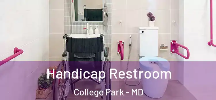 Handicap Restroom College Park - MD