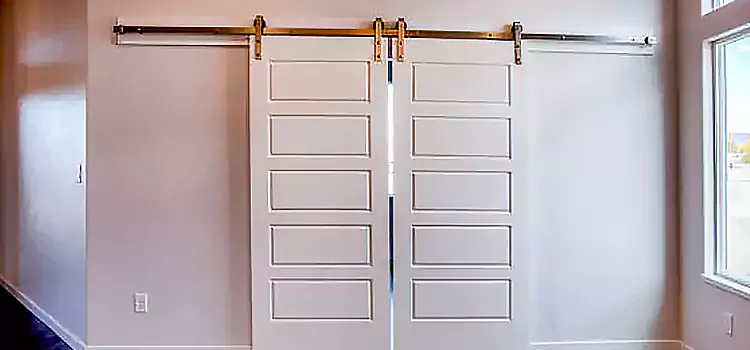 Glass Barn Door with Installation Hardware Kit College Park