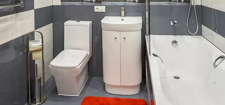 Hansgrohe Shaving Mirror College Park