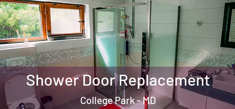 Shower Door Replacement College Park - MD