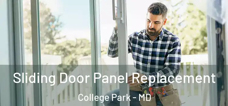  Sliding Door Panel Replacement College Park - MD