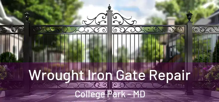  Wrought Iron Gate Repair College Park - MD